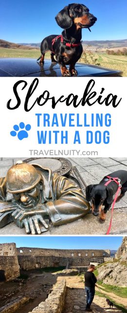 Slovakia Dog-Friendly Travel