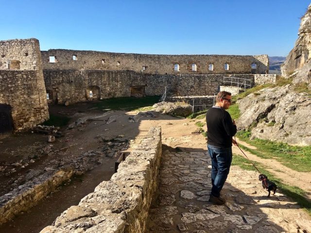 Dog inside Spis Castle, Slovakia