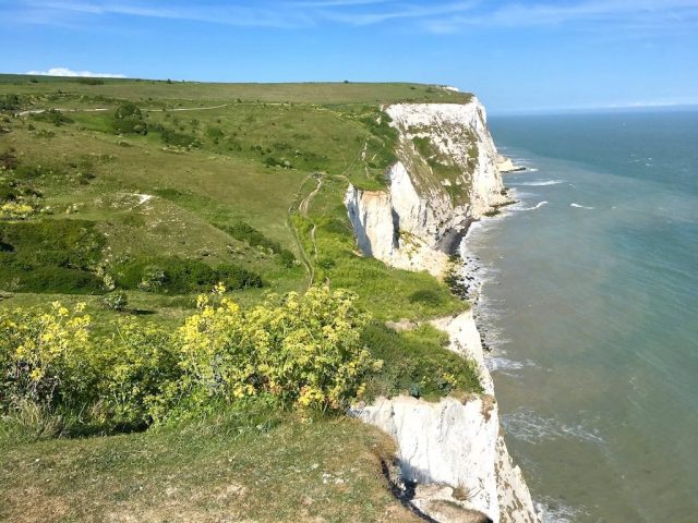 The White Cliffs of Dover shining in the sunshine