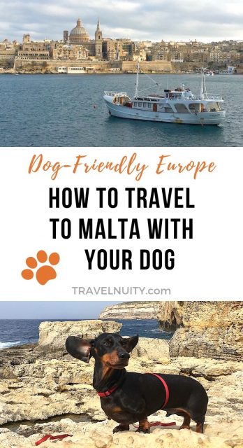 How to Travel to Malta with a Dog pin