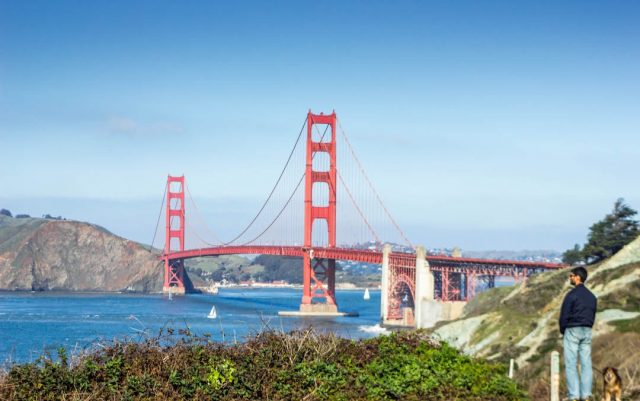 Dog-friendly things to do in San Francisco