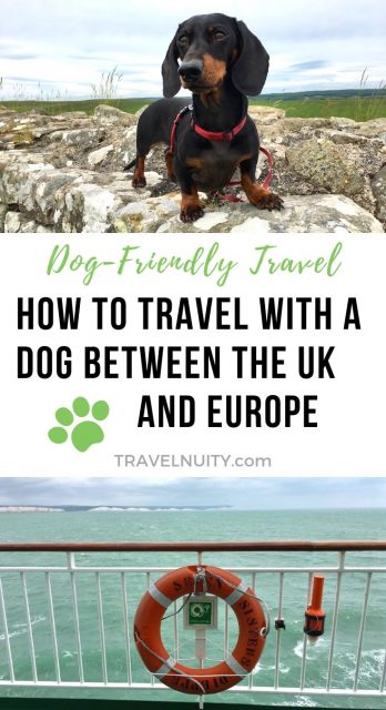 Taking a dog to Europe from UK