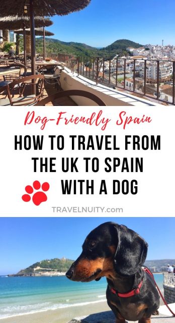 Travelling to Spain with a Dog from the UK pin