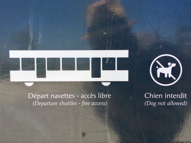 The signs forbidding dogs on the shuttles
