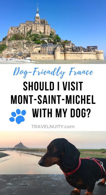 Mont Saint Michel with a dog pin