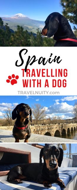 Spain Dog-Friendly Travel pin