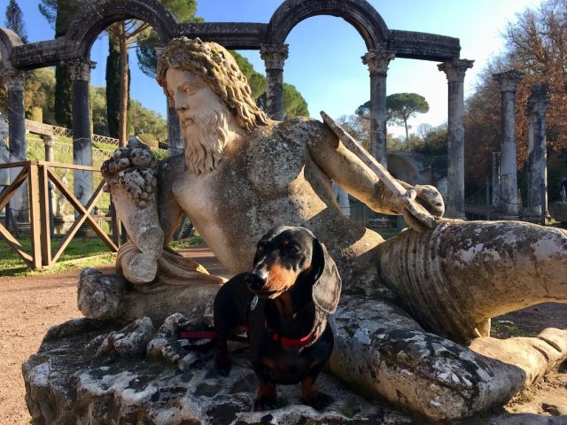 Dog-friendly archaeological sites in Italy