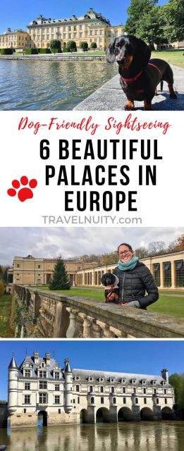 Dog-friendly palaces in Europe