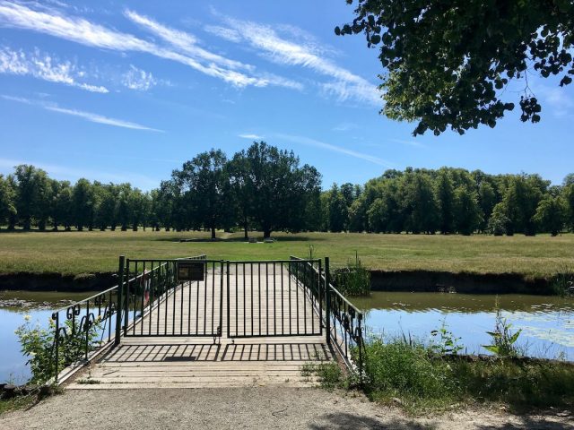 Off-leash dog island at Drottningholm Palace