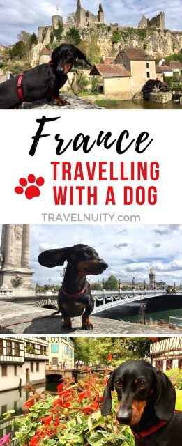 France Dog-Friendly Travel