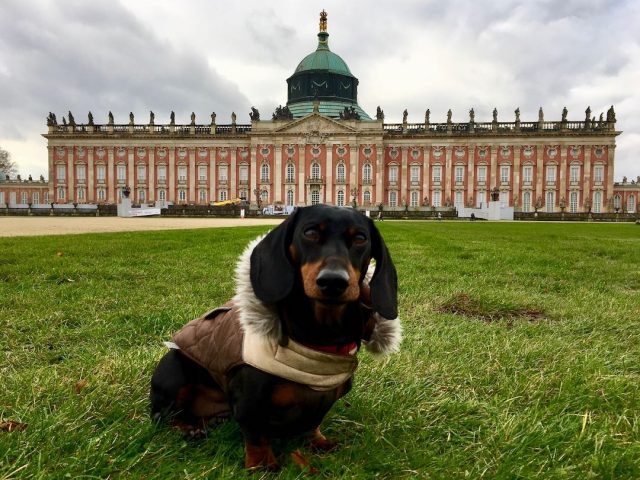 Sanssouci Palace