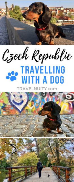 Czech Republic Dog-Friendly Travel