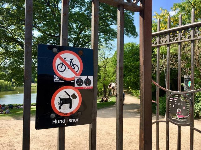 Dog-friendly parks in Copenhagen