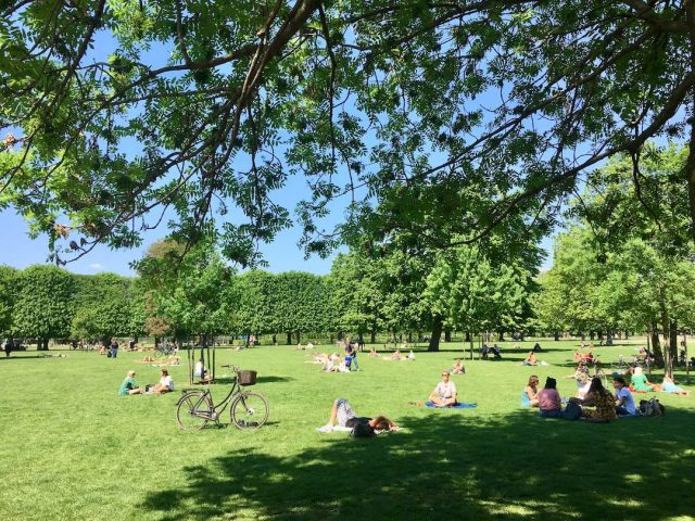 King's Garden in Copenhagen