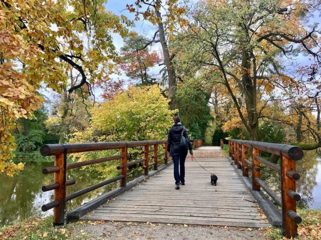 Dog walking in Lednice Park