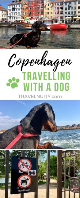 Copenhagen Travelling with a Dog pin