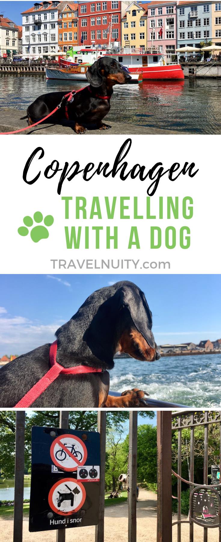 DogFriendly Copenhagen Visiting Copenhagen with a Dog Travelnuity