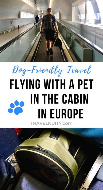 Flying with a pet in the cabin in Europe