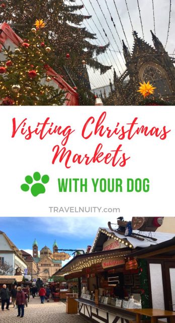 Visiting Christmas Markets with Your Dog pin