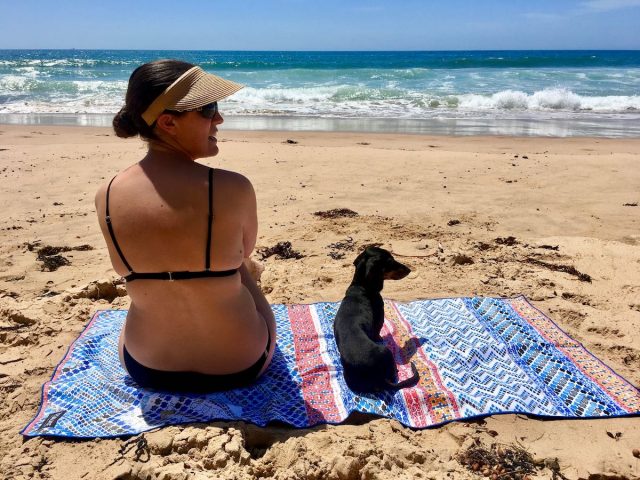 Dog-Friendly Beaches Australia