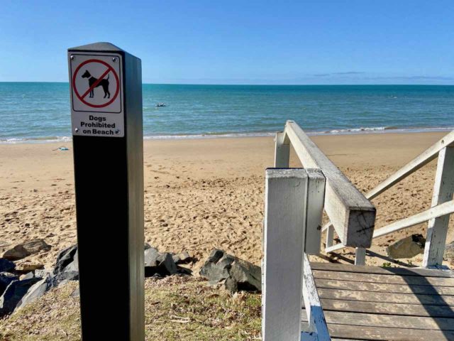 Dogs Prohibited Sign at Beach