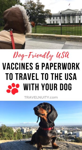 How to bring a dog to usa