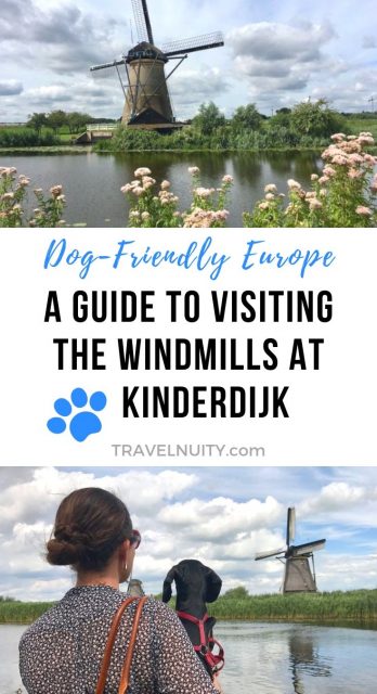 Visiting Kinderdijk pin