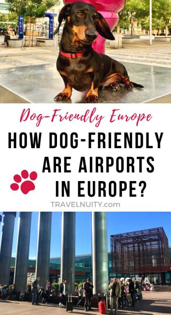 Europe Pet-Friendly Airports