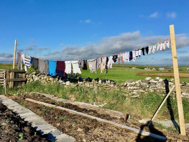 Drying the washing at one of our dog-friendly Airbnbs
