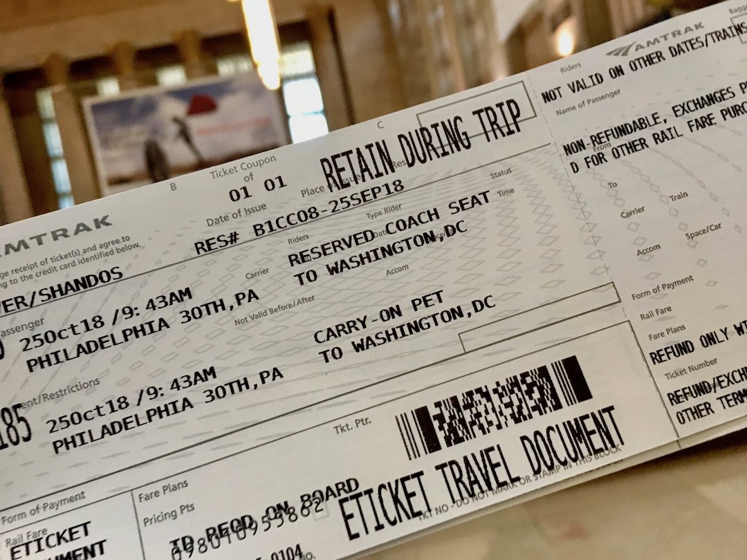 How to Travel on Amtrak Trains with a Dog in 2024 Travelnuity