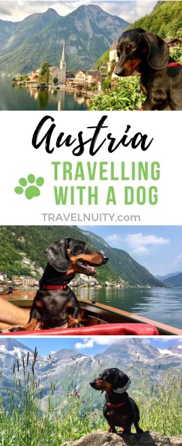 Austria Travelling with a Dog pin