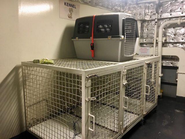 The kennels on a Blue Star Ferry