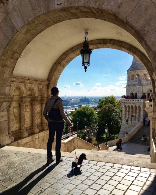 Budapest Fishermans Bastion with Dog