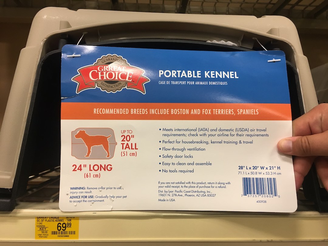 Bringing a Dog to Australia My Experience Travelnuity