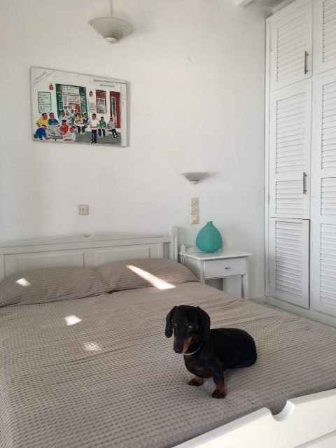 Pet friendly hotels in Greece