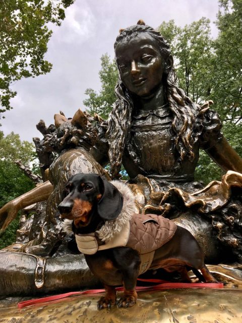 Alice in Wonderland sculpture in Central Park