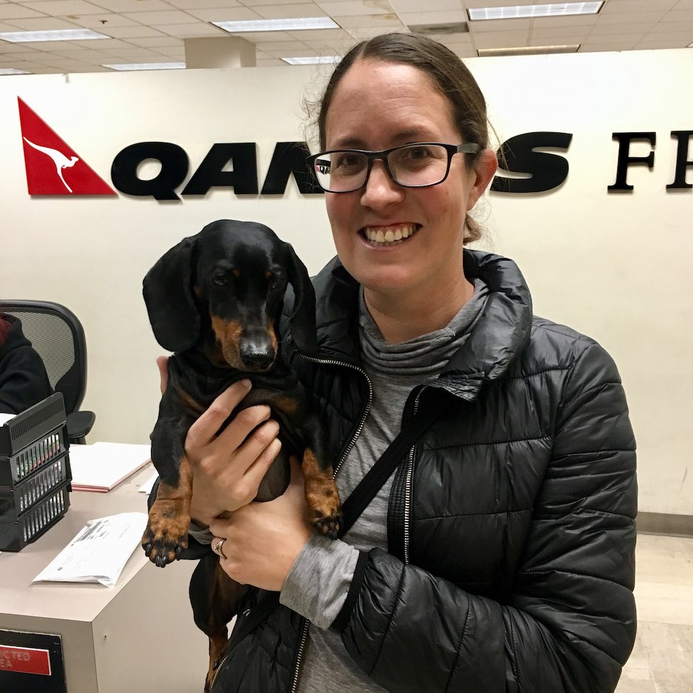 Bringing a Dog to Australia My Experience Travelnuity