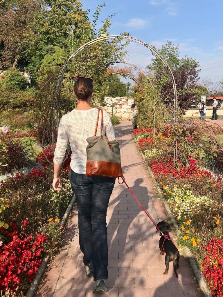 DogFriendly Austria Travelling in Austria with a Dog Travelnuity