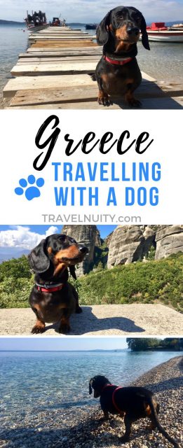 Greece Travelling with a Dog pin