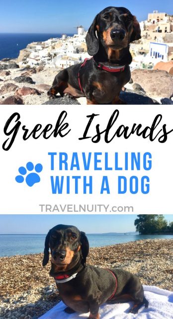 Greek Islands with a Dog pin