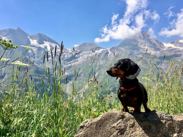 A scenic lookout along the Großglockner High Alpine Road