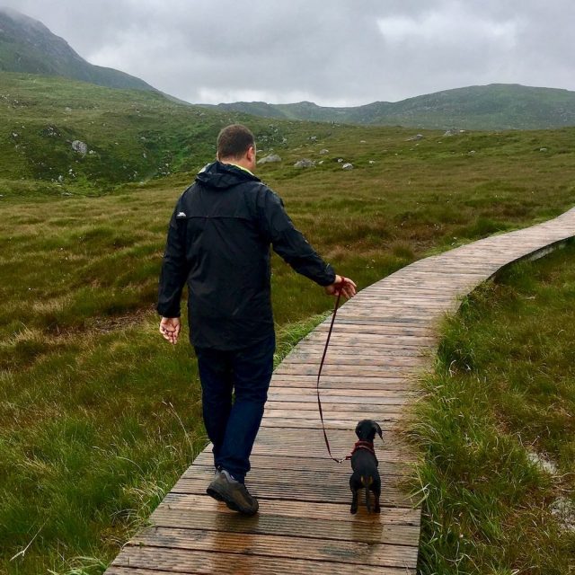 Walking with a dog in the Connemara