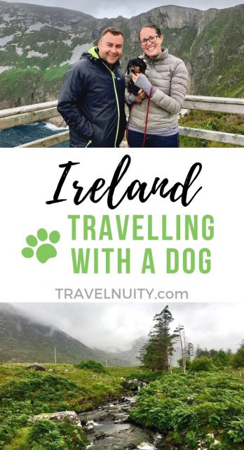 Ireland Dog-Friendly Travel pin