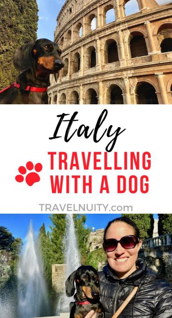 Italy Dog-Friendly Travel