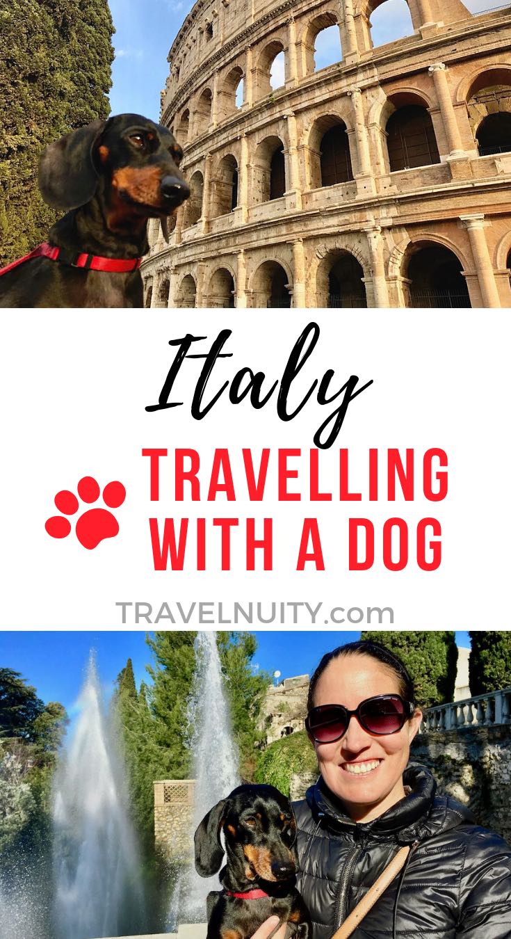 DogFriendly Italy Travelling in Italy with a Dog Travelnuity