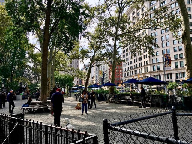 Dog friendly NYC - The dog run in Madison Square Park