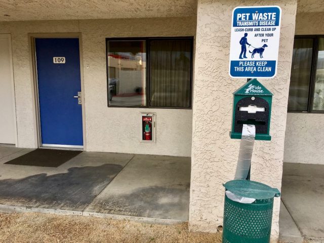 dog-friendly Motel 6