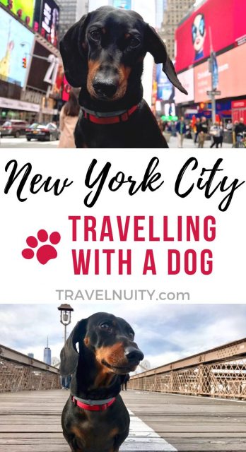 New York Dog-Friendly Travel pin