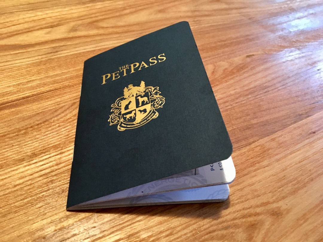 What is a Pet Passport & Does Your Pet Need One? Travelnuity