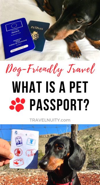 how to get a pet passport for a golden retriever in saint lucia